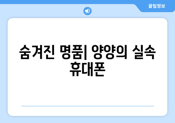 숨겨진 명품| 양양의 실속 휴대폰