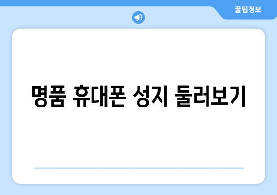 명품 휴대폰 성지 둘러보기