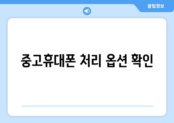 중고휴대폰 처리 옵션 확인