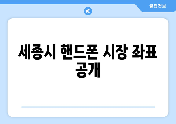 세종시 핸드폰 시장 좌표 공개