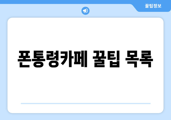 폰통령카페 꿀팁 목록