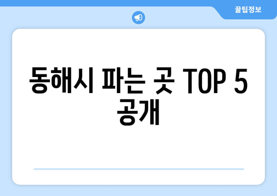 동해시 파는 곳 TOP 5 공개