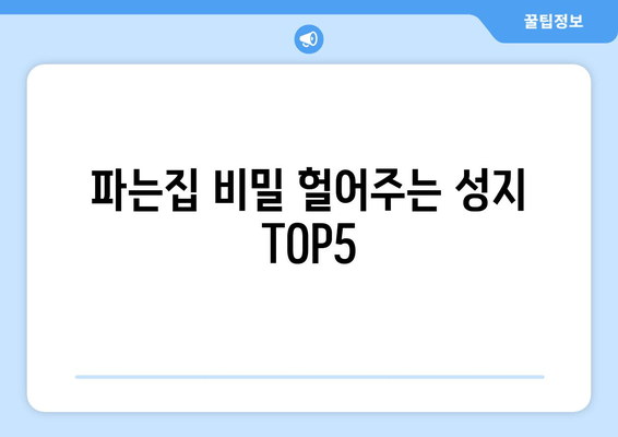 파는집 비밀 헐어주는 성지 TOP5