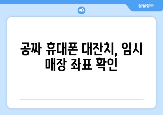 공짜 휴대폰 대잔치, 임시 매장 좌표 확인