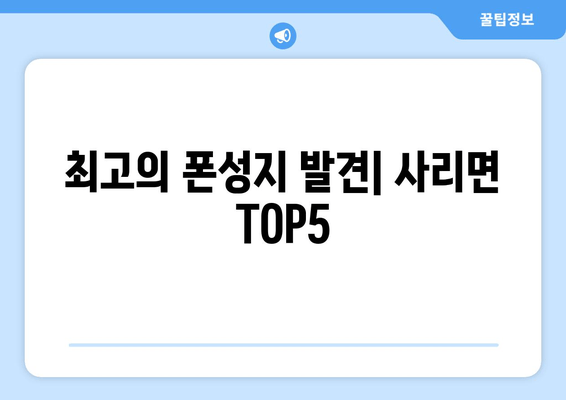 최고의 폰성지 발견| 사리면 TOP5