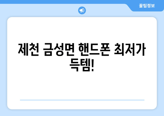 제천 금성면 핸드폰 최저가 득템!