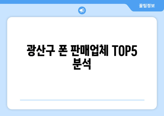 광산구 폰 판매업체 TOP5 분석