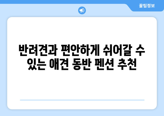 🐶 하트독과 함께 떠나는 행복한 여행! 애견 동반 카페 & 펜션 추천 | 하트독, 애견 동반 여행, 추천 장소, 숙소, 카페