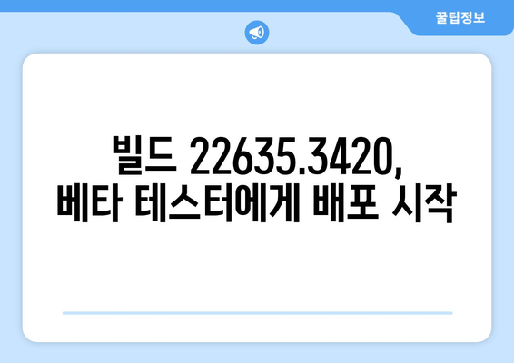 Windows 11 23H2 베타 채널, 빌드 22635.3420 배포 시작 | 본격적인 접속 시동