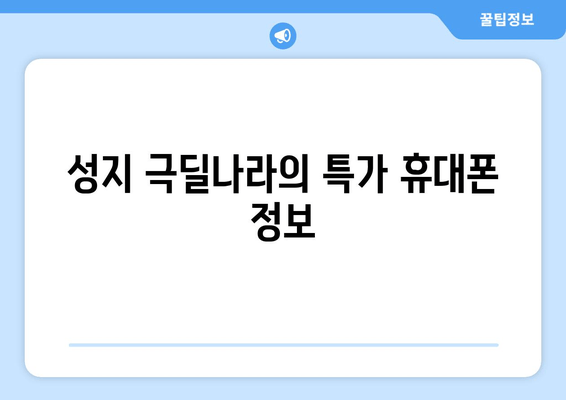 성지 극딜나라의 특가 휴대폰 정보