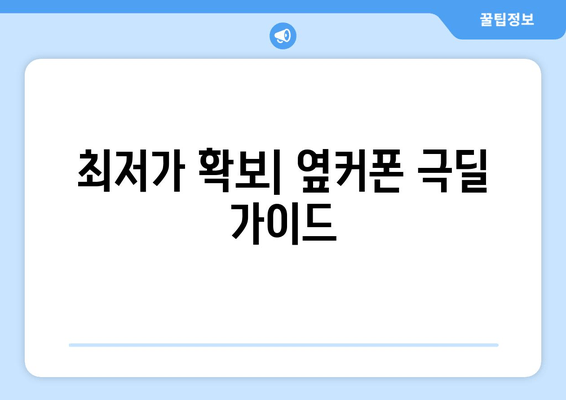 최저가 확보| 옆커폰 극딜 가이드