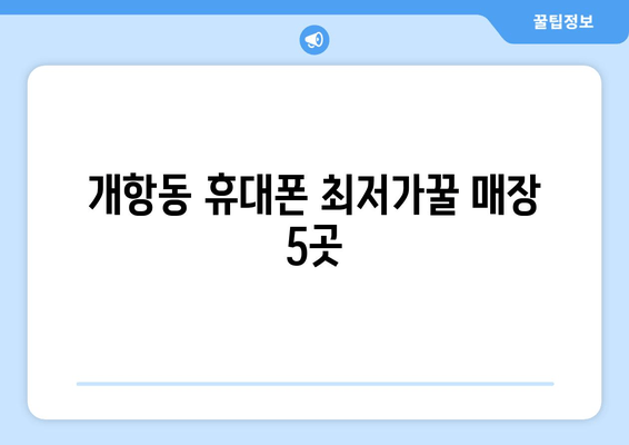 개항동 휴대폰 최저가꿀 매장 5곳