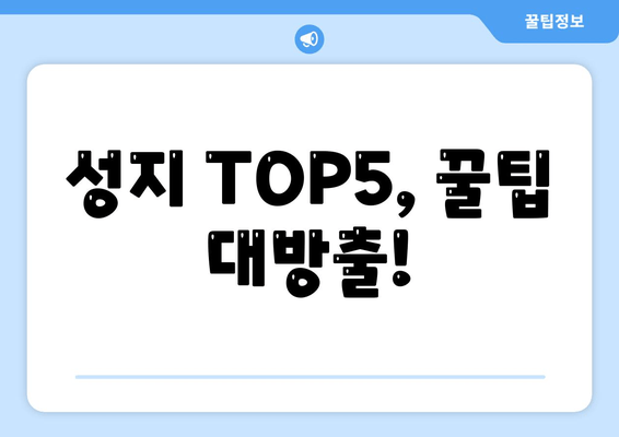 성지 TOP5, 꿀팁 대방출!