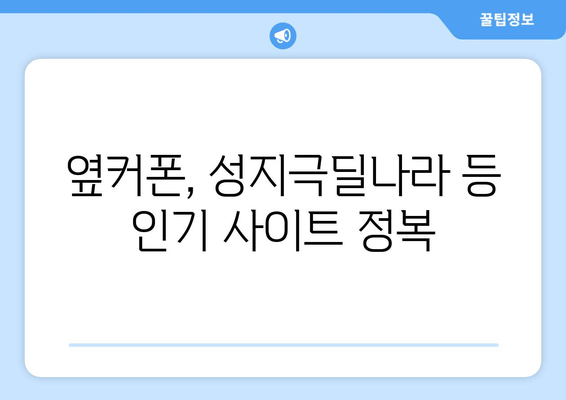 옆커폰, 성지극딜나라 등 인기 사이트 정복