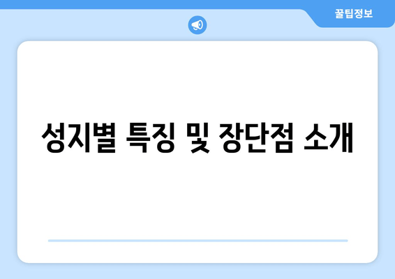 성지별 특징 및 장단점 소개