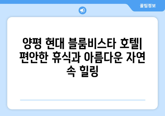 양평 현대 블룸비스타 호텔| 편안한 휴식과 아름다운 자연 속 힐링 | 호텔 리뷰, 객실 정보, 부대시설, 주변 관광