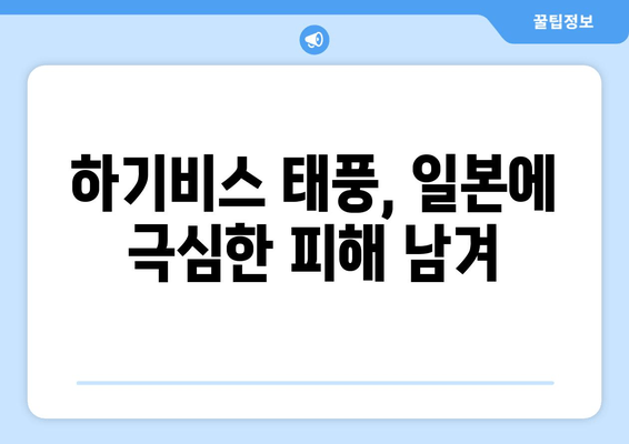 하기비스 태풍, 일본에 극심한 피해 남겨 | 하기비스 피해 현황, 복구 노력, 기후변화