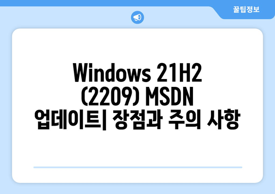 Windows 21H2 (2209) MSDN 업데이트 통합| LTSC & 19045 버전 지원 | 상세 가이드 & 적용 방법