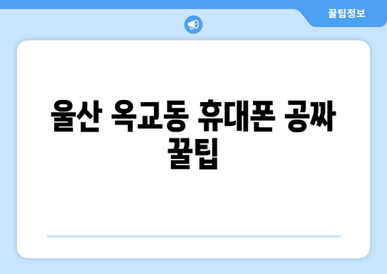 울산 옥교동 휴대폰 공짜 꿀팁