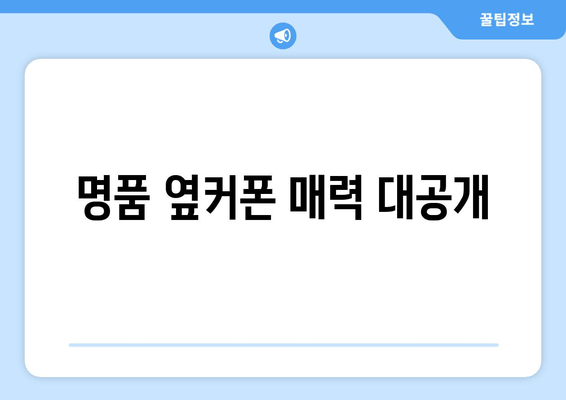 명품 옆커폰 매력 대공개