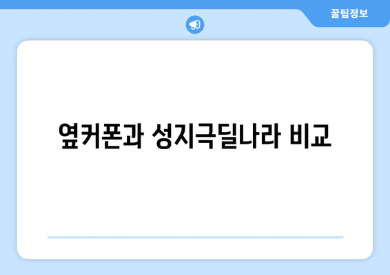 옆커폰과 성지극딜나라 비교