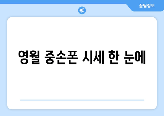 영월 중손폰 시세 한 눈에