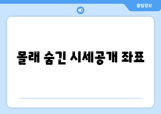 몰래 숨긴 시세공개 좌표