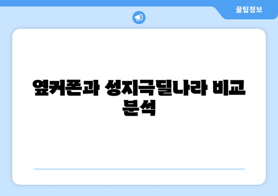 옆커폰과 성지극딜나라 비교 분석