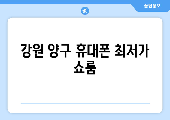 강원 양구 휴대폰 최저가 쇼룸