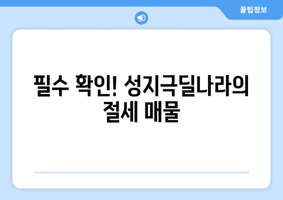 필수 확인! 성지극딜나라의 절세 매물