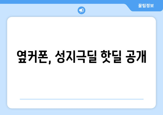 옆커폰, 성지극딜 핫딜 공개