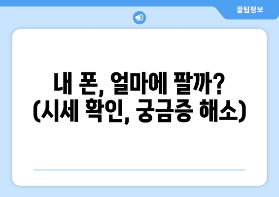 내 폰, 얼마에 팔까? (시세 확인, 궁금증 해소)