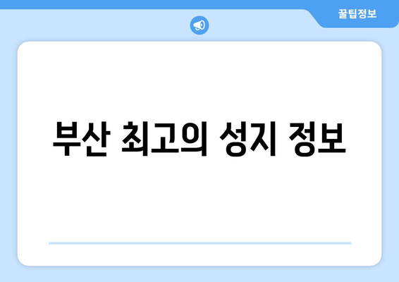 부산 최고의 성지 정보