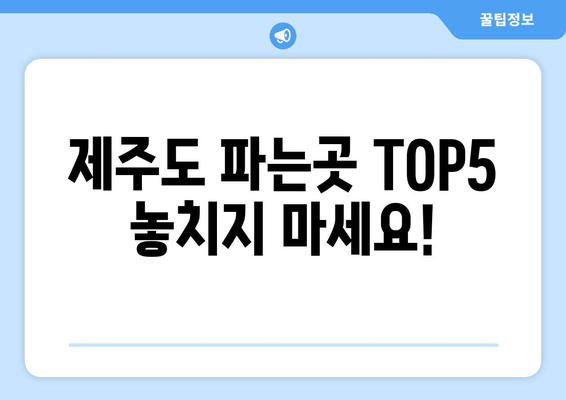 제주도 파는곳 TOP5 놓치지 마세요!