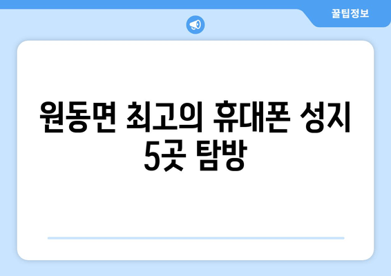 원동면 최고의 휴대폰 성지 5곳 탐방