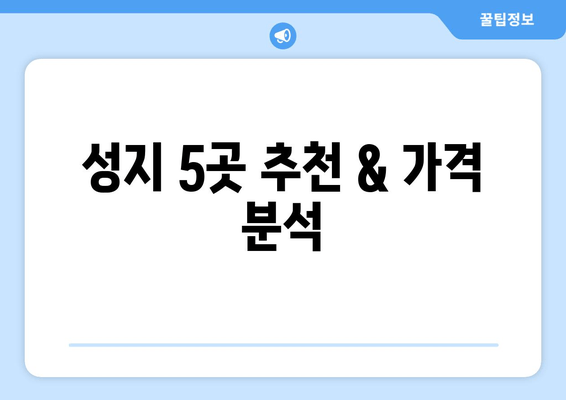 성지 5곳 추천 & 가격 분석