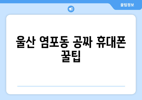 울산 염포동 공짜 휴대폰 꿀팁