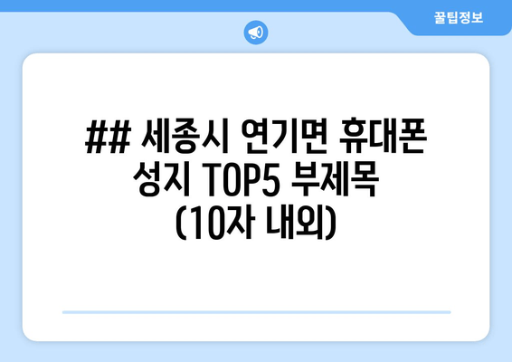 ## 세종시 연기면 휴대폰 성지 TOP5 부제목 (10자 내외)