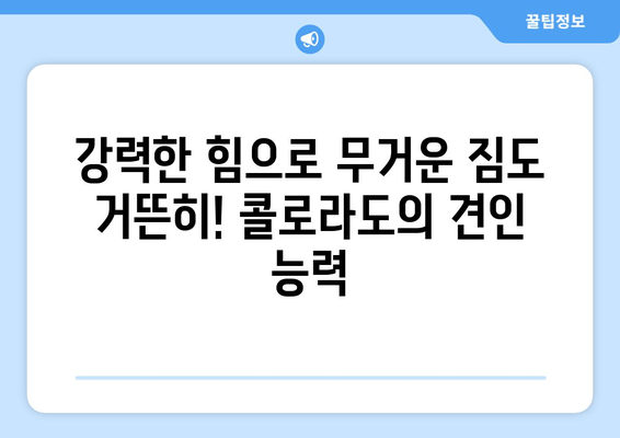 쉐보레 콜로라도 픽업트럭| 험난한 길을 정복하는 강인한 짐승 | 오프로드 성능, 견인 능력, 편의 사양 완벽 분석