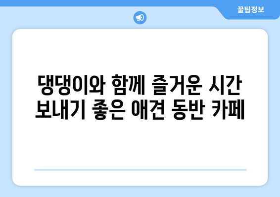 🐶 하트독과 함께 떠나는 행복한 여행! 애견 동반 카페 & 펜션 추천 | 하트독, 애견 동반 여행, 추천 장소, 숙소, 카페