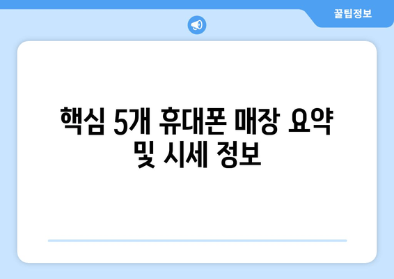 핵심 5개 휴대폰 매장 요약 및 시세 정보