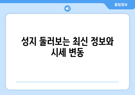 성지 둘러보는 최신 정보와 시세 변동