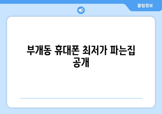 부개동 휴대폰 최저가 파는집 공개