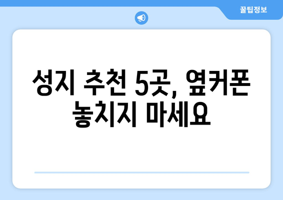 성지 추천 5곳, 옆커폰 놓치지 마세요