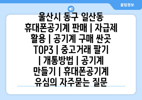 울산시 동구 일산동 휴대폰공기계 판매 | 자급제 활용 | 공기계 구매 싼곳 TOP3 | 중고거래 팔기 | 개통방법 | 공기계 만들기 | 휴대폰공기계 유심