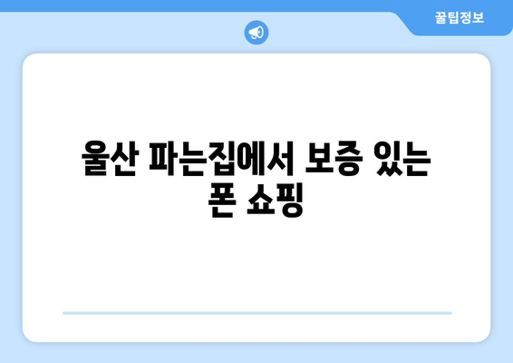 울산 파는집에서 보증 있는 폰 쇼핑