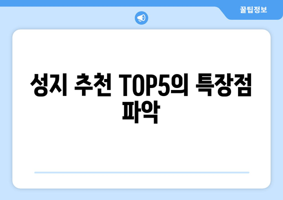 성지 추천 TOP5의 특장점 파악