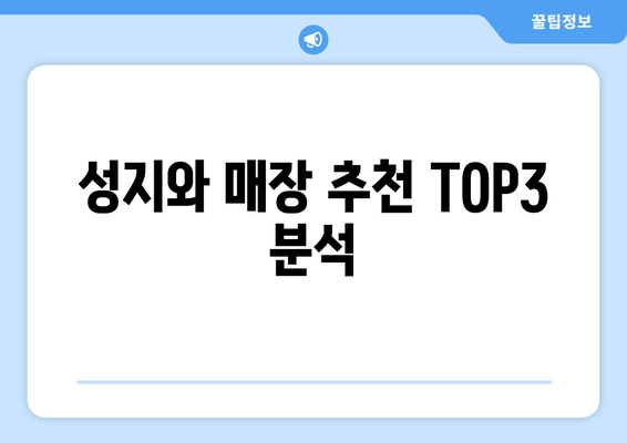 성지와 매장 추천 TOP3 분석