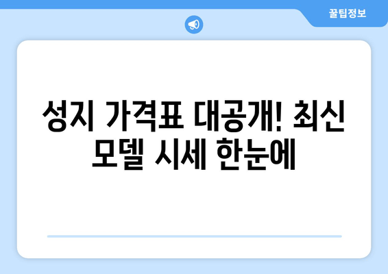 성지 가격표 대공개! 최신 모델 시세 한눈에