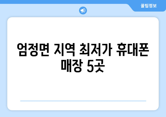 엄정면 지역 최저가 휴대폰 매장 5곳